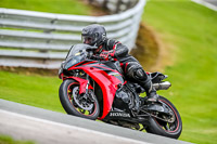 PJ-Motorsport-2019;anglesey;brands-hatch;cadwell-park;croft;donington-park;enduro-digital-images;event-digital-images;eventdigitalimages;mallory;no-limits;oulton-park;peter-wileman-photography;racing-digital-images;silverstone;snetterton;trackday-digital-images;trackday-photos;vmcc-banbury-run;welsh-2-day-enduro